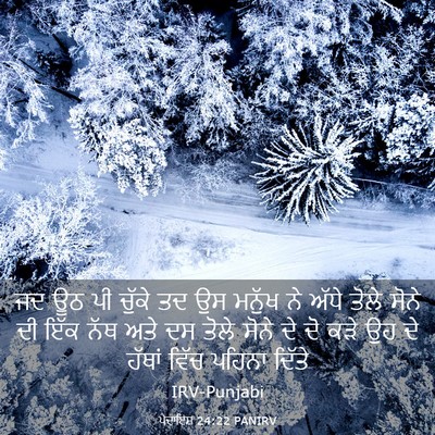 Picture 03 - ਪੈਦਾਇਸ਼ 24:22 PANIRV - ਜਦ ਊਠ ਪੀ ਚੁੱਕੇ ਤਦ - Bible Verse Picture