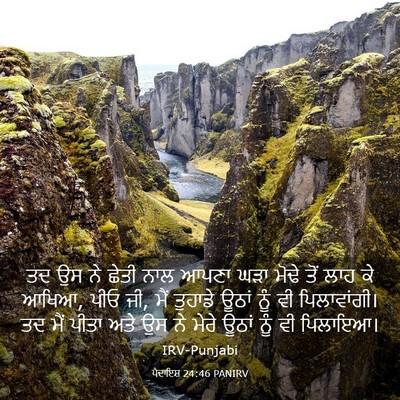 Picture 03 - ਪੈਦਾਇਸ਼ 24:46 PANIRV - ਤਦ ਉਸ ਨੇ ਛੇਤੀ ਨਾਲ - Bible Verse Picture