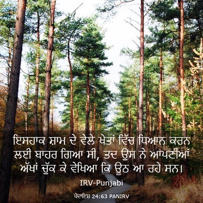 Picture 03 - ਪੈਦਾਇਸ਼ 24:63 PANIRV - ਇਸਹਾਕ ਸ਼ਾਮ ਦੇ ਵੇਲੇ - Bible Verse Picture