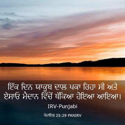 Picture 03 - ਪੈਦਾਇਸ਼ 25:29 PANIRV - ਇੱਕ ਦਿਨ ਯਾਕੂਬ ਦਾਲ - Bible Verse Picture