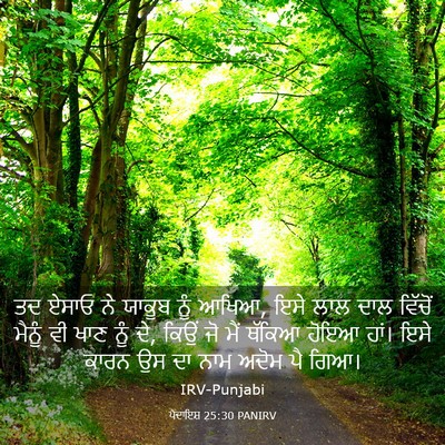 Picture 03 - ਪੈਦਾਇਸ਼ 25:30 PANIRV - ਤਦ ਏਸਾਓ ਨੇ ਯਾਕੂਬ - Bible Verse Picture