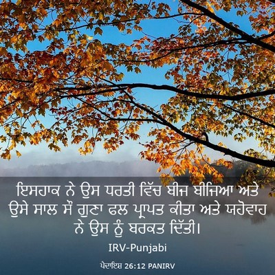 Picture 03 - ਪੈਦਾਇਸ਼ 26:12 PANIRV - ਇਸਹਾਕ ਨੇ ਉਸ ਧਰਤੀ - Bible Verse Picture