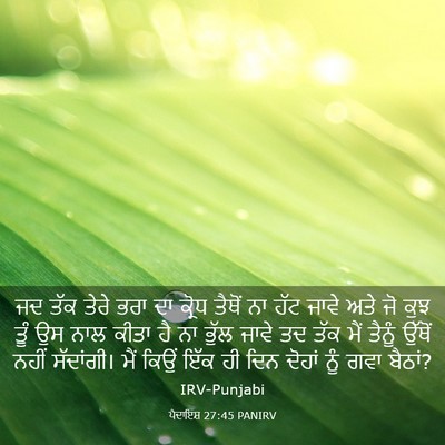 Picture 03 - ਪੈਦਾਇਸ਼ 27:45 PANIRV - ਜਦ ਤੱਕ ਤੇਰੇ ਭਰਾ ਦਾ - Bible Verse Picture