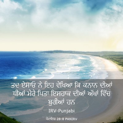 Picture 03 - ਪੈਦਾਇਸ਼ 28:8 PANIRV - ਤਦ ਏਸਾਓ ਨੇ ਇਹ ਵੇਖਿਆ - Bible Verse Picture