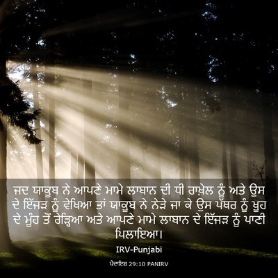 Picture 03 - ਪੈਦਾਇਸ਼ 29:10 PANIRV - ਜਦ ਯਾਕੂਬ ਨੇ ਆਪਣੇ - Bible Verse Picture