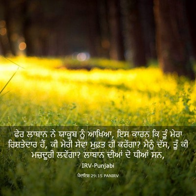Picture 03 - ਪੈਦਾਇਸ਼ 29:15 PANIRV - ਫੇਰ ਲਾਬਾਨ ਨੇ ਯਾਕੂਬ - Bible Verse Picture