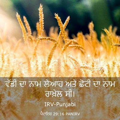 Picture 03 - ਪੈਦਾਇਸ਼ 29:16 PANIRV - ਵੱਡੀ ਦਾ ਨਾਮ ਲੇਆਹ - Bible Verse Picture