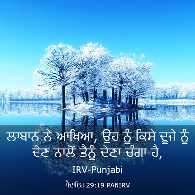 Picture 03 - ਪੈਦਾਇਸ਼ 29:19 PANIRV - ਲਾਬਾਨ ਨੇ ਆਖਿਆ, ਉਹ - Bible Verse Picture