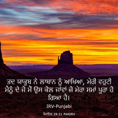 Picture 03 - ਪੈਦਾਇਸ਼ 29:21 PANIRV - ਤਦ ਯਾਕੂਬ ਨੇ ਲਾਬਾਨ - Bible Verse Picture