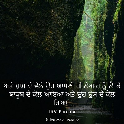 Picture 03 - ਪੈਦਾਇਸ਼ 29:23 PANIRV - ਅਤੇ ਸ਼ਾਮ ਦੇ ਵੇਲੇ ਉਹ - Bible Verse Picture