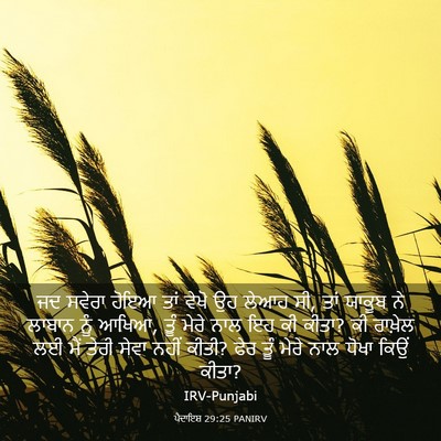 Picture 03 - ਪੈਦਾਇਸ਼ 29:25 PANIRV - ਜਦ ਸਵੇਰਾ ਹੋਇਆ ਤਾਂ - Bible Verse Picture