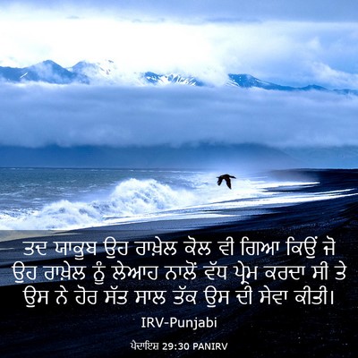 Picture 03 - ਪੈਦਾਇਸ਼ 29:30 PANIRV - ਤਦ ਯਾਕੂਬ ਉਹ ਰਾਖ਼ੇਲ - Bible Verse Picture