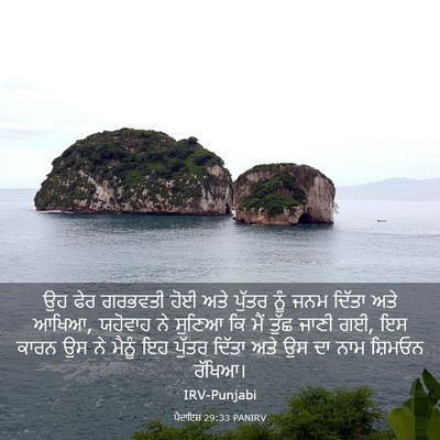 Picture 03 - ਪੈਦਾਇਸ਼ 29:33 PANIRV - ਉਹ ਫੇਰ ਗਰਭਵਤੀ ਹੋਈ - Bible Verse Picture