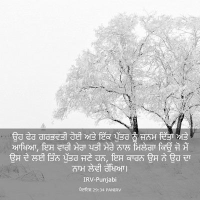 Picture 03 - ਪੈਦਾਇਸ਼ 29:34 PANIRV - ਉਹ ਫੇਰ ਗਰਭਵਤੀ ਹੋਈ - Bible Verse Picture