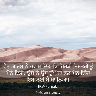 Picture 03 - ਪੈਦਾਇਸ਼ 3:12 PANIRV - ਫੇਰ ਆਦਮ ਨੇ ਜਵਾਬ - Bible Verse Picture