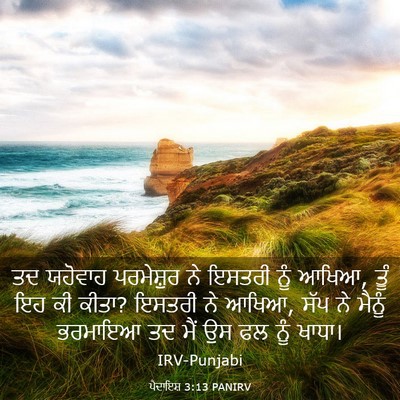 Picture 03 - ਪੈਦਾਇਸ਼ 3:13 PANIRV - ਤਦ ਯਹੋਵਾਹ - Bible Verse Picture