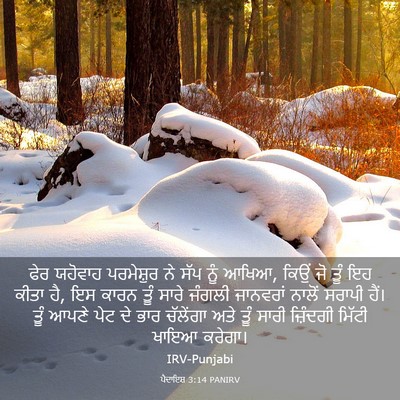 Picture 03 - ਪੈਦਾਇਸ਼ 3:14 PANIRV - ਫੇਰ ਯਹੋਵਾਹ - Bible Verse Picture