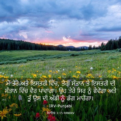 Picture 03 - ਪੈਦਾਇਸ਼ 3:15 PANIRV - ਮੈਂ ਤੇਰੇ ਅਤੇ ਇਸਤਰੀ - Bible Verse Picture