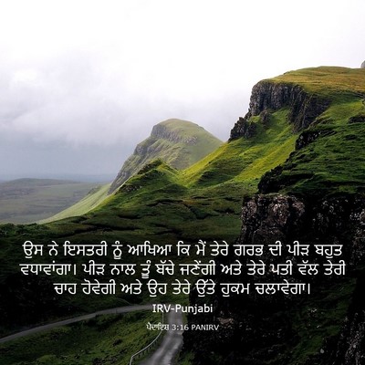 Picture 03 - ਪੈਦਾਇਸ਼ 3:16 PANIRV - ਉਸ ਨੇ ਇਸਤਰੀ ਨੂੰ - Bible Verse Picture