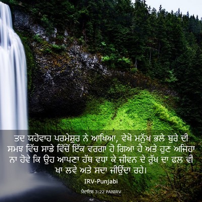 Picture 03 - ਪੈਦਾਇਸ਼ 3:22 PANIRV - ਤਦ ਯਹੋਵਾਹ - Bible Verse Picture