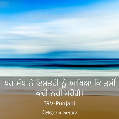 Picture 03 - ਪੈਦਾਇਸ਼ 3:4 PANIRV - ਪਰ ਸੱਪ ਨੇ ਇਸਤਰੀ ਨੂੰ - Bible Verse Picture