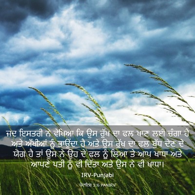 Picture 03 - ਪੈਦਾਇਸ਼ 3:6 PANIRV - ਜਦ ਇਸਤਰੀ ਨੇ ਵੇਖਿਆ - Bible Verse Picture