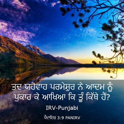 Picture 03 - ਪੈਦਾਇਸ਼ 3:9 PANIRV - ਤਦ ਯਹੋਵਾਹ - Bible Verse Picture