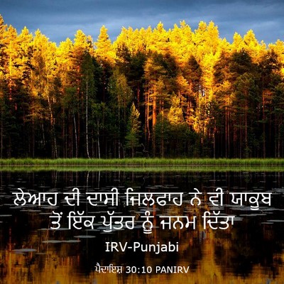 Picture 03 - ਪੈਦਾਇਸ਼ 30:10 PANIRV - ਲੇਆਹ ਦੀ ਦਾਸੀ - Bible Verse Picture