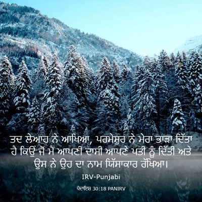 Picture 03 - ਪੈਦਾਇਸ਼ 30:18 PANIRV - ਤਦ ਲੇਆਹ ਨੇ ਆਖਿਆ, - Bible Verse Picture