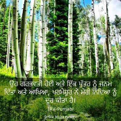 Picture 03 - ਪੈਦਾਇਸ਼ 30:23 PANIRV - ਉਹ ਗਰਭਵਤੀ ਹੋਈ ਅਤੇ - Bible Verse Picture