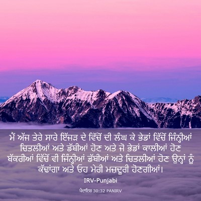 Picture 03 - ਪੈਦਾਇਸ਼ 30:32 PANIRV - ਮੈਂ ਅੱਜ ਤੇਰੇ ਸਾਰੇ - Bible Verse Picture