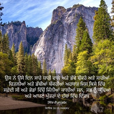Picture 03 - ਪੈਦਾਇਸ਼ 30:35 PANIRV - ਉਸ ਨੇ ਉਸੇ ਦਿਨ ਸਾਰੇ - Bible Verse Picture