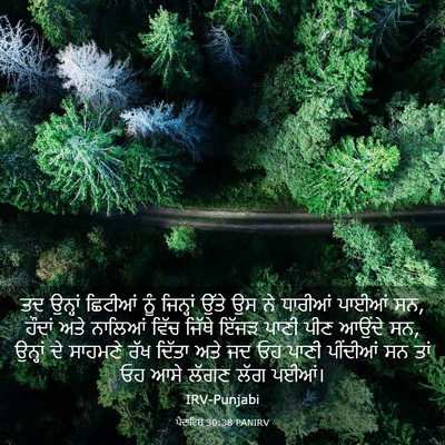 Picture 03 - ਪੈਦਾਇਸ਼ 30:38 PANIRV - ਤਦ ਉਨ੍ਹਾਂ ਛਿਟੀਆਂ - Bible Verse Picture