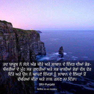 Picture 03 - ਪੈਦਾਇਸ਼ 30:40 PANIRV - ਤਦ ਯਾਕੂਬ ਨੇ ਲੇਲੇ - Bible Verse Picture
