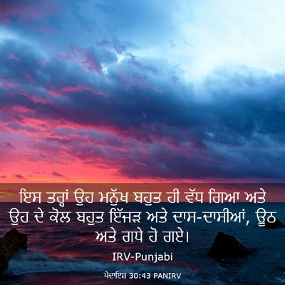 Picture 03 - ਪੈਦਾਇਸ਼ 30:43 PANIRV - ਇਸ ਤਰ੍ਹਾਂ ਉਹ ਮਨੁੱਖ - Bible Verse Picture