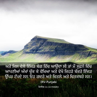 Picture 03 - ਪੈਦਾਇਸ਼ 31:10 PANIRV - ਅਤੇ ਜਿਸ ਵੇਲੇ ਇੱਜੜ - Bible Verse Picture