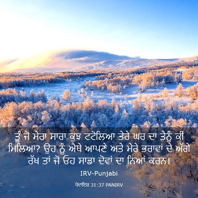 Picture 03 - ਪੈਦਾਇਸ਼ 31:37 PANIRV - ਤੂੰ ਜੋ ਮੇਰਾ ਸਾਰਾ - Bible Verse Picture