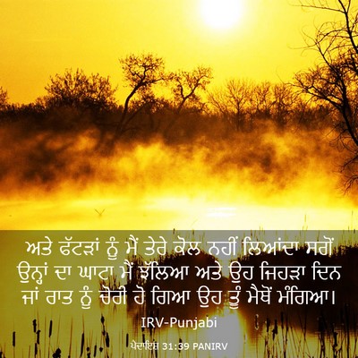 Picture 03 - ਪੈਦਾਇਸ਼ 31:39 PANIRV - ਅਤੇ ਫੱਟੜਾਂ ਨੂੰ ਮੈਂ - Bible Verse Picture