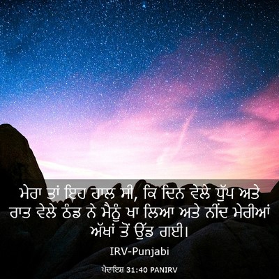 Picture 03 - ਪੈਦਾਇਸ਼ 31:40 PANIRV - ਮੇਰਾ ਤਾਂ ਇਹ ਹਾਲ ਸੀ, - Bible Verse Picture