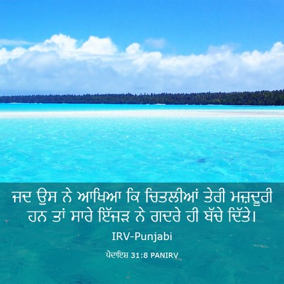 Picture 03 - ਪੈਦਾਇਸ਼ 31:8 PANIRV - ਜਦ ਉਸ ਨੇ ਆਖਿਆ ਕਿ - Bible Verse Picture