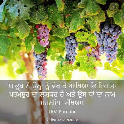 Picture 03 - ਪੈਦਾਇਸ਼ 32:2 PANIRV - ਯਾਕੂਬ ਨੇ ਉਨ੍ਹਾਂ - Bible Verse Picture