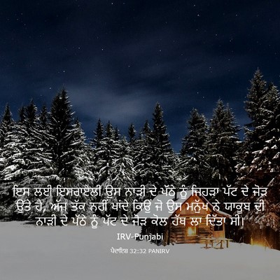 Picture 03 - ਪੈਦਾਇਸ਼ 32:32 PANIRV - ਇਸ ਲਈ ਇਸਰਾਏਲੀ ਉਸ - Bible Verse Picture