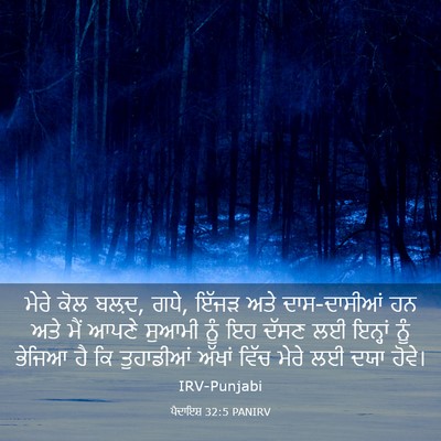 Picture 03 - ਪੈਦਾਇਸ਼ 32:5 PANIRV - ਮੇਰੇ ਕੋਲ ਬਲ਼ਦ, ਗਧੇ, - Bible Verse Picture