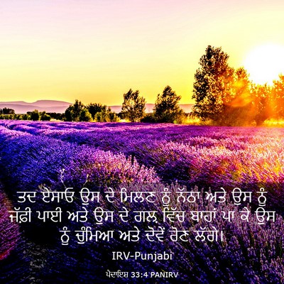 Picture 03 - ਪੈਦਾਇਸ਼ 33:4 PANIRV - ਤਦ ਏਸਾਓ ਉਸ ਦੇ ਮਿਲਣ - Bible Verse Picture