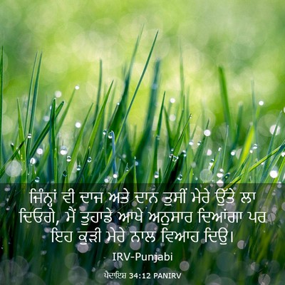 Picture 03 - ਪੈਦਾਇਸ਼ 34:12 PANIRV - ਜਿੰਨ੍ਹਾਂ ਵੀ ਦਾਜ - Bible Verse Picture