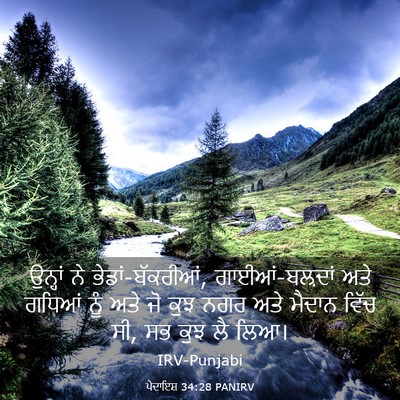 Picture 03 - ਪੈਦਾਇਸ਼ 34:28 PANIRV - ਉਨ੍ਹਾਂ ਨੇ - Bible Verse Picture