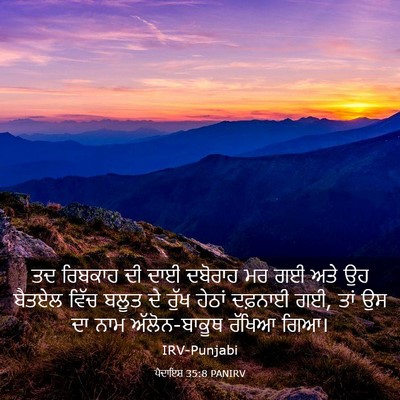 Picture 03 - ਪੈਦਾਇਸ਼ 35:8 PANIRV - ਤਦ ਰਿਬਕਾਹ ਦੀ ਦਾਈ - Bible Verse Picture