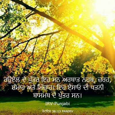Picture 03 - ਪੈਦਾਇਸ਼ 36:13 PANIRV - ਰਊਏਲ ਦੇ ਪੁੱਤਰ ਇਹ ਸਨ - Bible Verse Picture