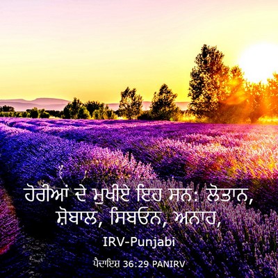 Picture 03 - ਪੈਦਾਇਸ਼ 36:29 PANIRV - ਹੋਰੀਆਂ ਦੇ ਮੁਖੀਏ ਇਹ - Bible Verse Picture