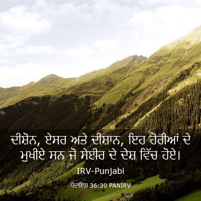 Picture 03 - ਪੈਦਾਇਸ਼ 36:30 PANIRV - ਦੀਸ਼ੋਨ, ਏਸਰ ਅਤੇ - Bible Verse Picture